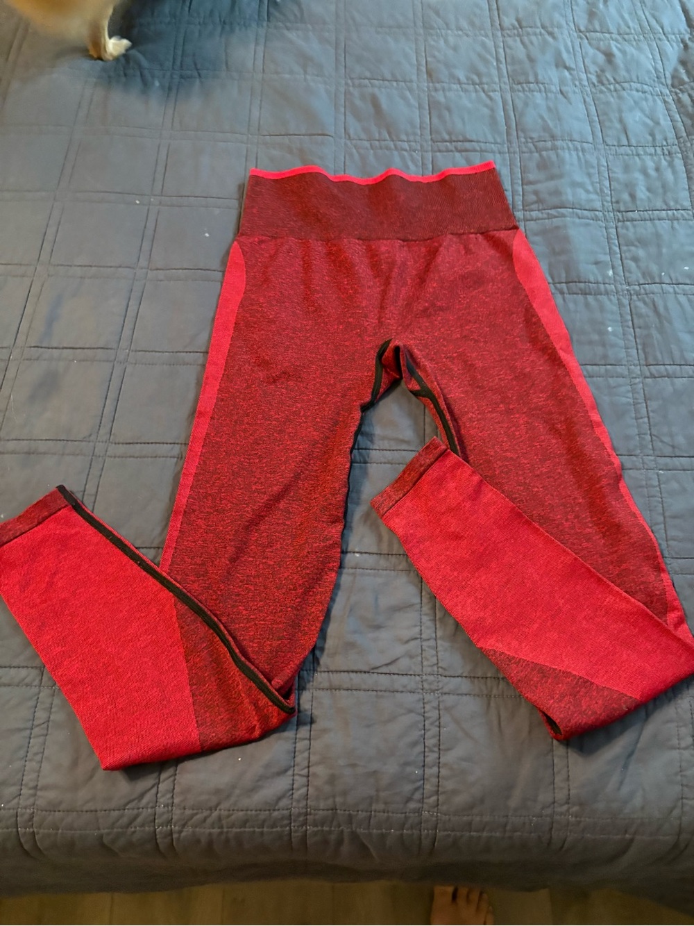 Victoria’s Secret pink XS Red Seamless Active Leggings
